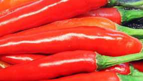 DDOS在线攻击平台